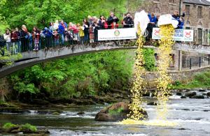 Fling and Duck Race 2020